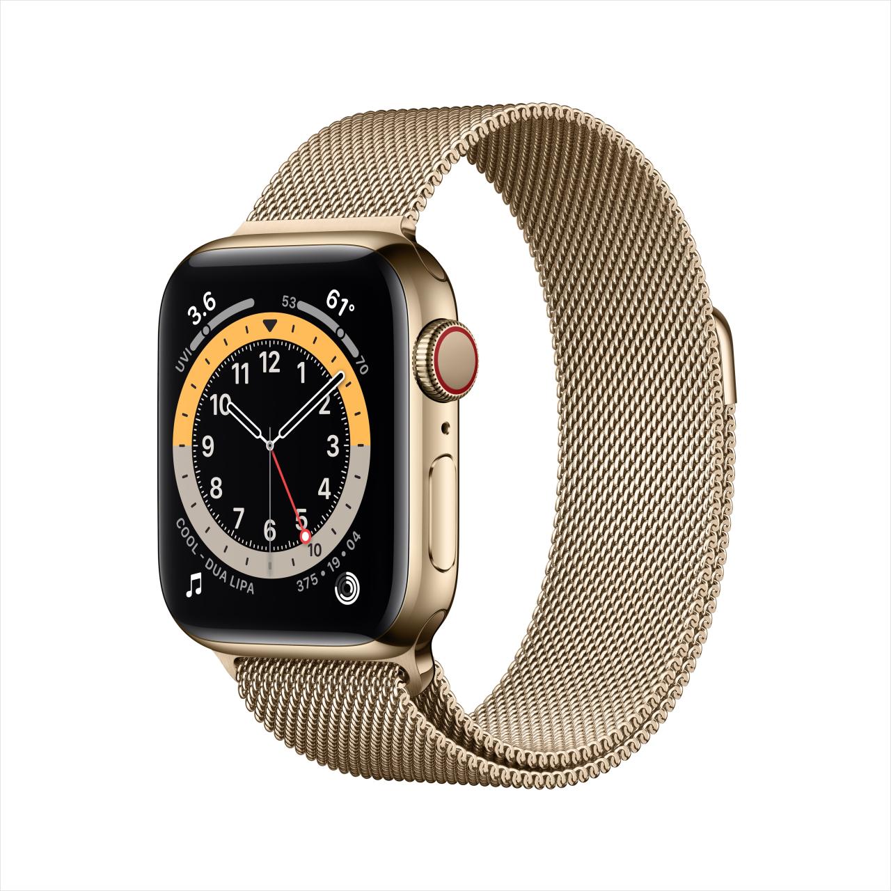 Apple Watch Series 6 GPS + Cellular, 40mm Gold Stainless Steel Case ...
