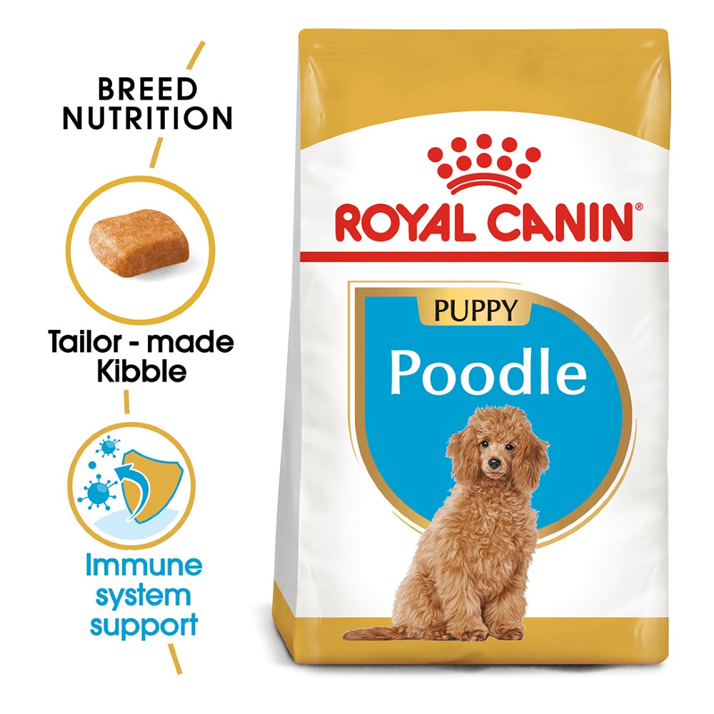 Puppy royal canin