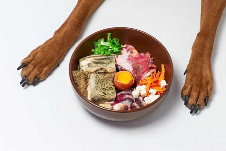 Fooddog